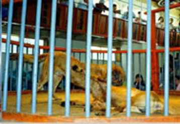 9a1e41e8-4a85-4774-abf5-f20a4fd3ed4f