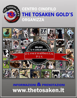 9614d928-b482-4cb6-8734-a736193e1328