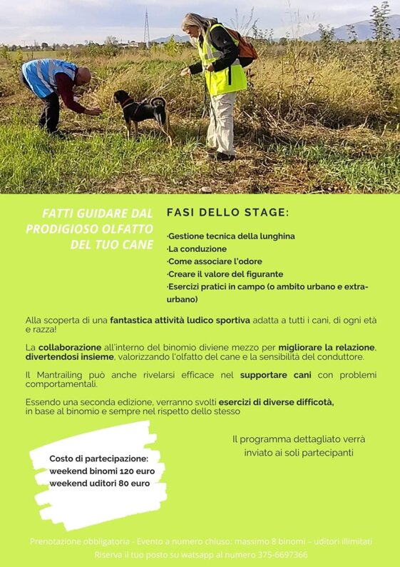 d17d2241-83d8-4934-b279-db06d6322135