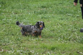 e15b2dd1-ac7d-4461-bd8d-02f10a21fcf9