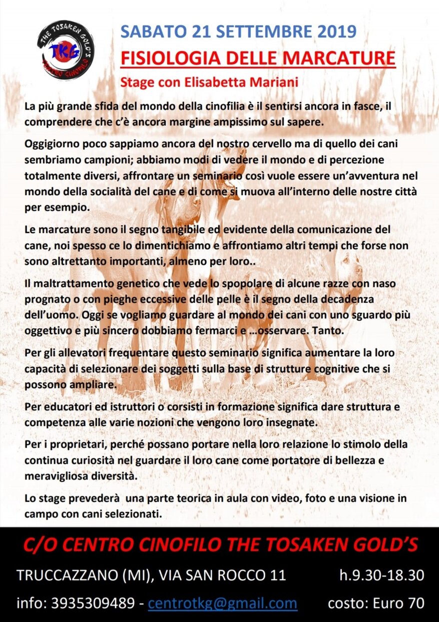 46c89a38-4426-409b-9991-676024afeeb0