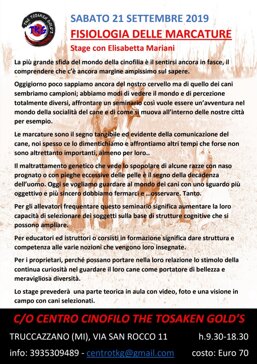 5b4dc484-35cd-46e1-a613-7dea27d993c5