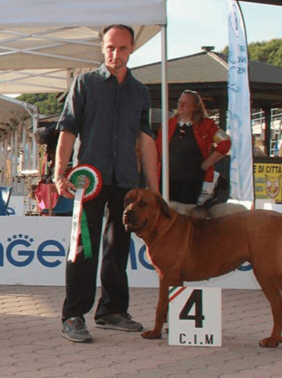 402b61be-7c2e-4f95-9793-78d5274401e2