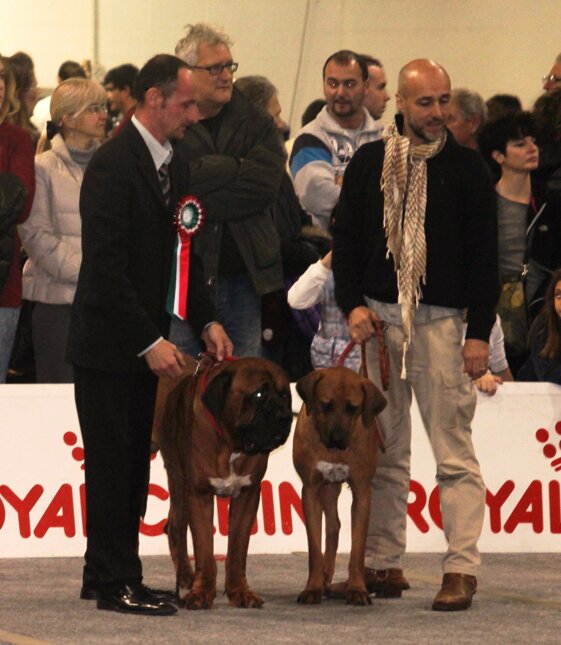 700bf6c6-8125-4109-950e-3245ac17b0bc