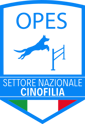 logo_opes logo_opes