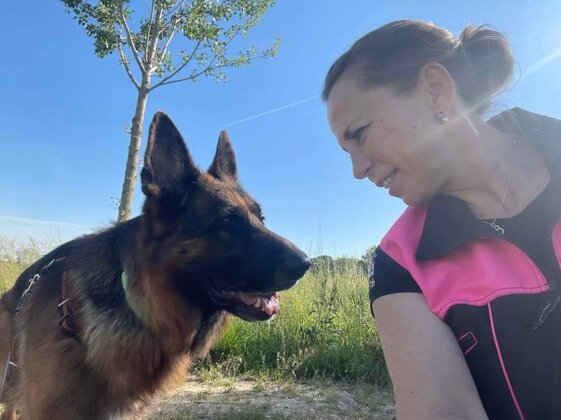 88ca0d84-52e2-4234-af62-909fdbf2b2f5