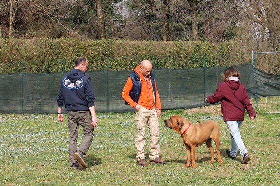 ebb708f0-f377-44b7-8241-052687ffbde5