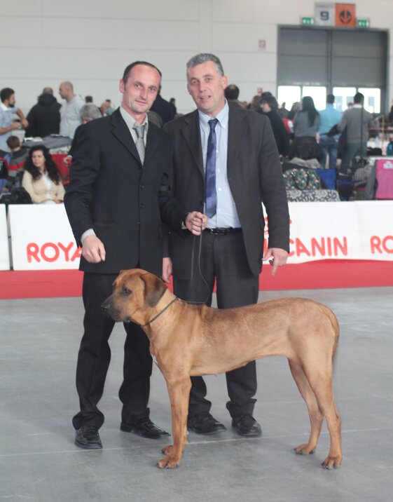 ea10d65e-86d8-4f52-92d5-d3d0870baa8d