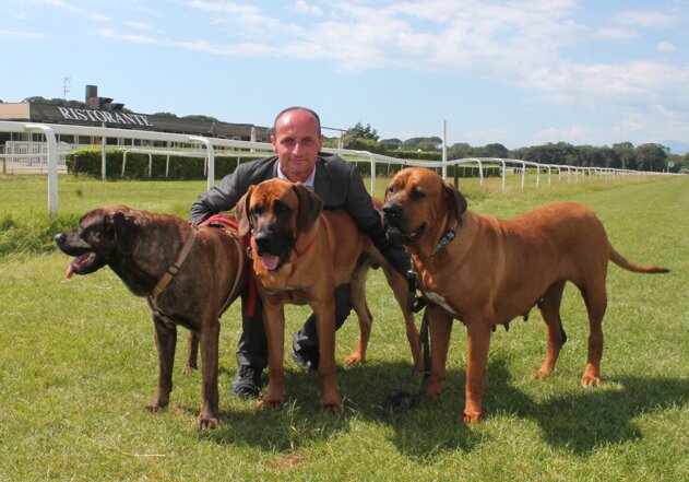 5578b228-bb04-48bf-b9be-ec47355a6fcc