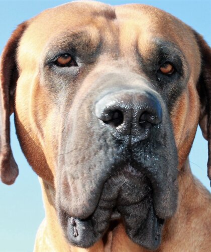 86df9c83-0fa0-461b-9939-c81b4a9f61b4