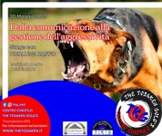 67f9f6aa-568e-43f3-b08a-919d86a0e13e