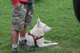 08c3fcb2-413f-40d8-be53-b9e94c6666a9