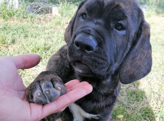 e6ef936a-b0b6-4837-bc14-214a817dfe40