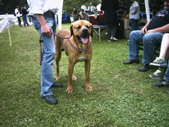 6f4f9ec0-1eb1-4690-bb16-77274c2cfd7c