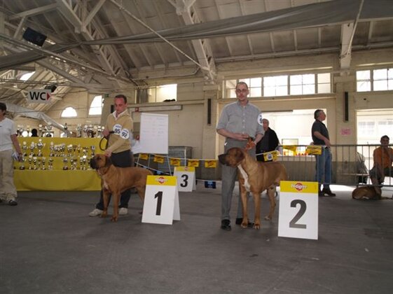 71d8d323-162e-416b-bc4e-f20cbe8fff90