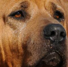 73a7ffcb-b236-4838-b946-3adf6c30de31