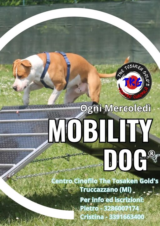 f7abfab7-6b35-42e4-91f6-ea32f30ba9c5