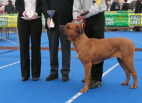 14e6242f-8b31-4df9-b304-6ff4d185dd55