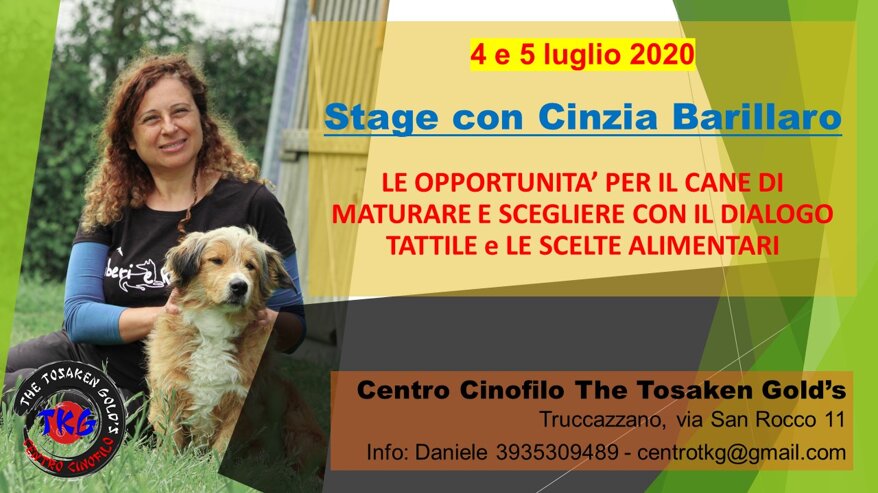 6160c032-e44a-49b0-a359-f661e4873ff6