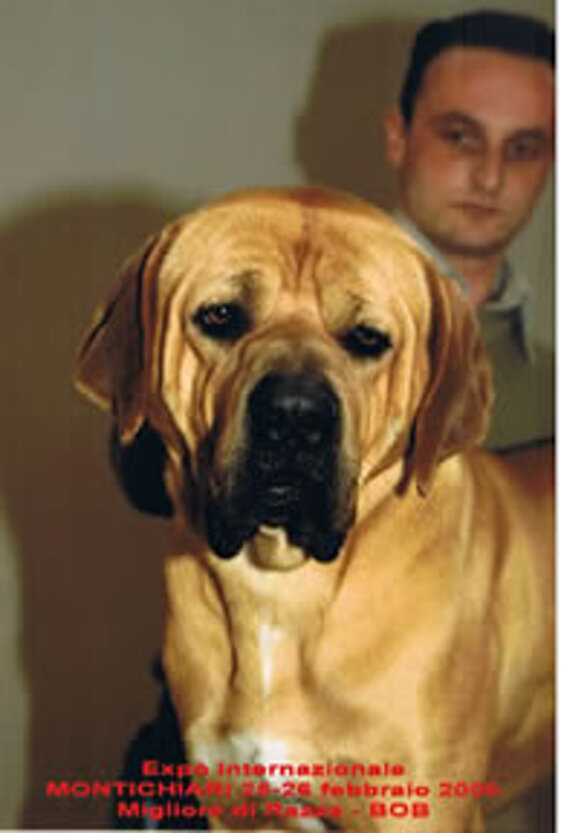 0bc6155c-fbd5-4116-b9ba-9ce661cfe968