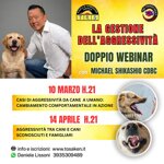 doppio-webinar-con-michael-shikashio-cdbc