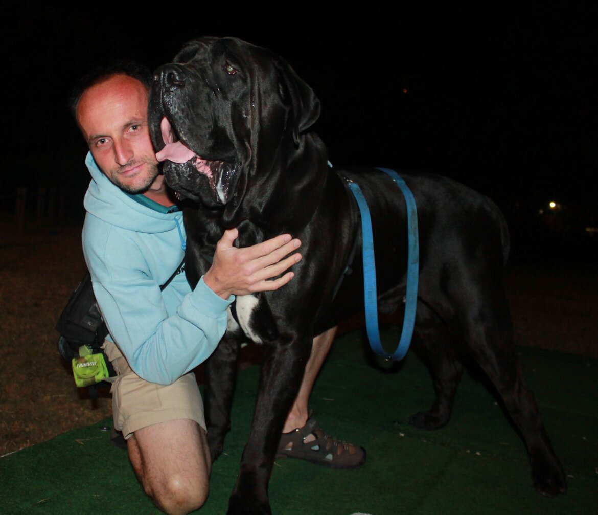 d99baccc-58e7-4e8e-bf17-c9ad3581a3d0