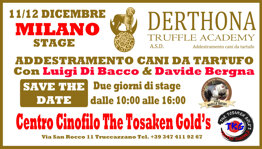 bc3749d4-5076-4846-9e85-332a195a0ac6