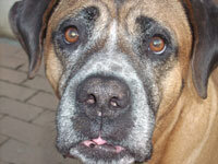 44660cd3-7a53-4e61-b736-8dd9abd69b50