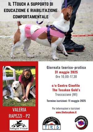 il-ttouch-a-supporto-di-educazione-e-riabilitazione-comportamentale