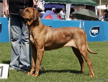 b31ab8f5-6401-488e-9e34-5a3953629dff