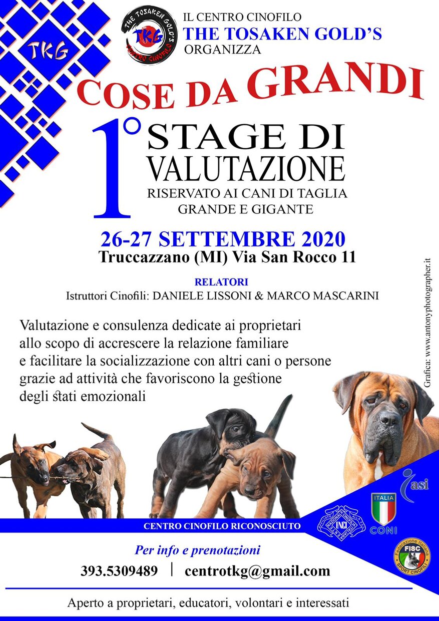 1331f261-3868-4c68-af38-6bdeb89036e0