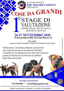 95433f0f-792e-42d6-a5ff-6b2642fbc0cd