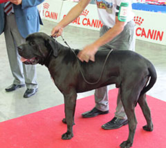 4911f545-0661-4c4b-a23a-e7559f26580a