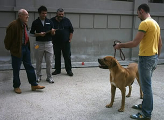 ff7c0467-df4b-4339-9e3d-f1b8adaab486