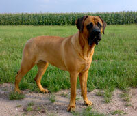 31cd7521-74cb-40a5-bbc6-79e3b99aee0d