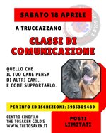 classi-di-comunicazione
