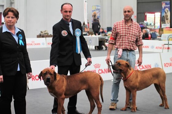 23a5680b-5b99-4efb-a162-913fa7b623a3