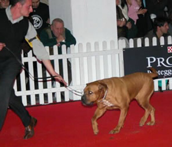 c68b8aa4-d442-4f9e-9c2c-b4195d2eb22e