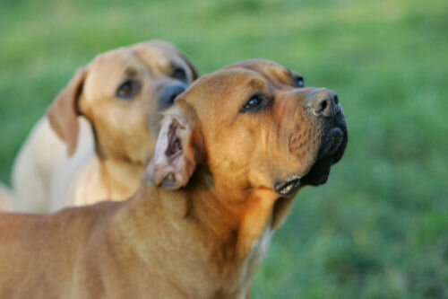 b81ab52a-5b35-4b9e-840b-716775fc10eb