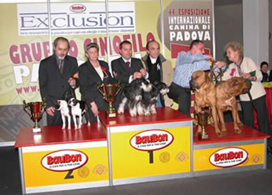 cdcec2d6-e407-4e38-9cfb-3b9390b1f51a