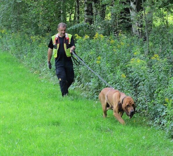 87ef14f6-54bb-4a57-aa03-11bb7bcedeee