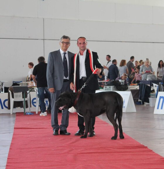 32d22bb1-4074-4099-a144-afa5b332406b