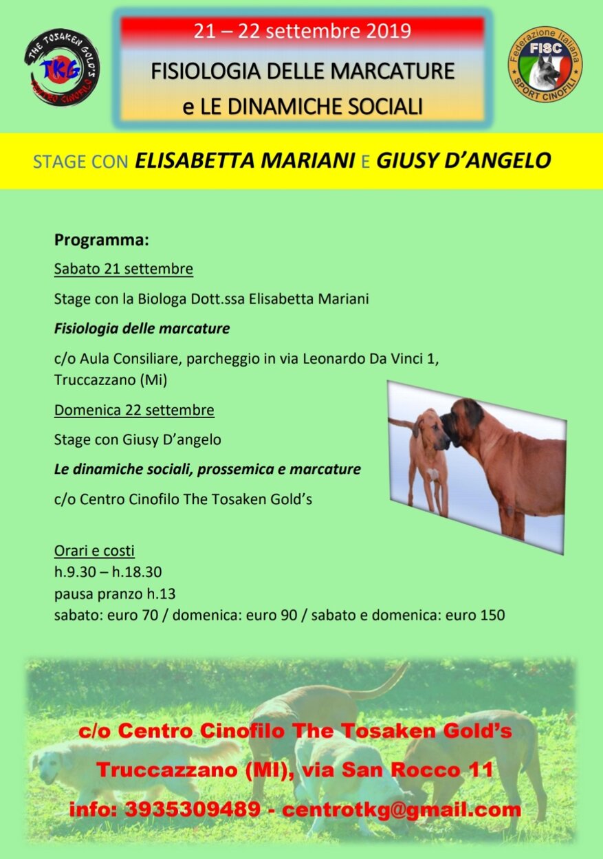 c8e992f9-7263-417b-b0dd-00325f4f999c