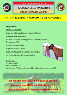 fb8f4c6a-3b1c-4f60-9c1a-0b9253c858ce