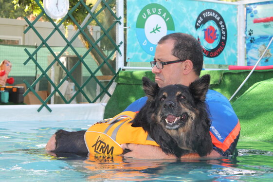 c640c825-d579-4808-bc00-4f94c9ec124b