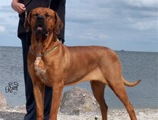 02f82d30-110f-4b1a-bf32-e8e8d1beca0c