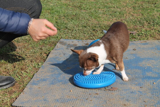 0423ecb5-5fa3-4a84-b12b-3727fefaab8f