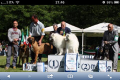 4e0b6ce9-5d39-453c-b4cc-6191bd83ab09