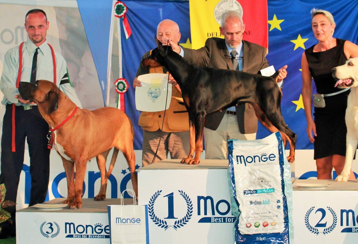 252c3023-dbe8-4238-bfba-cb167bdf13ff