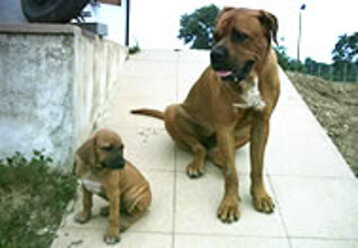 de13a66f-b5f3-47d7-bae9-7865de62373e